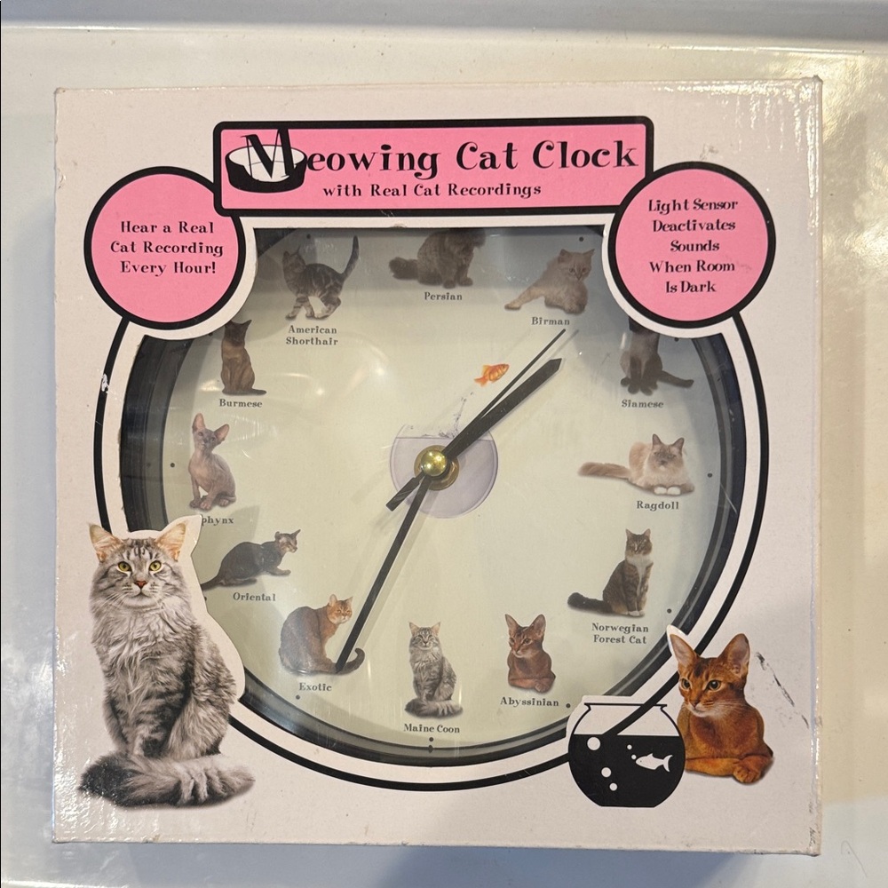Mark Feldstein Clock Cat-Themed Wall Clock with Black Frame